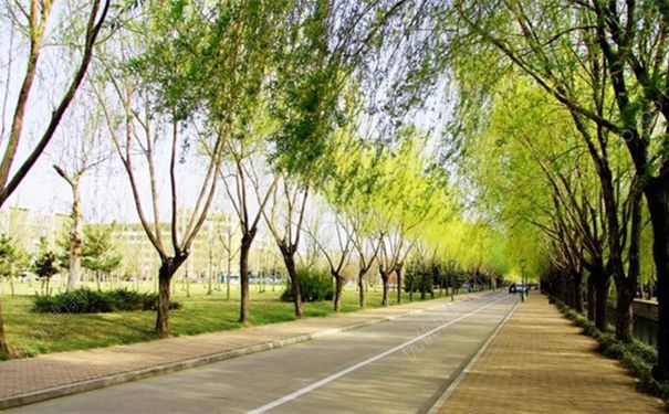 不想住校有什么办法吗？不想住校的理由(4)