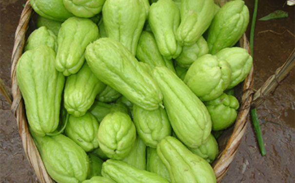 佛手怎么吃？佛手的做法(1)