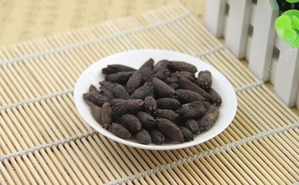 母丁香有什么药用价值？母丁香的功效与作用(1)