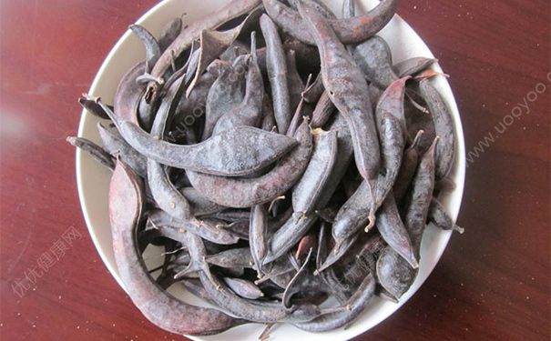 猪牙皂有哪些药用价值？猪牙皂的功效与作用(1)