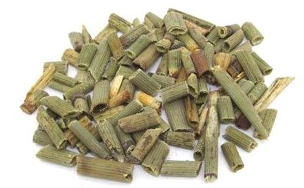 木贼有什么作用？木贼的功效与作用[图]