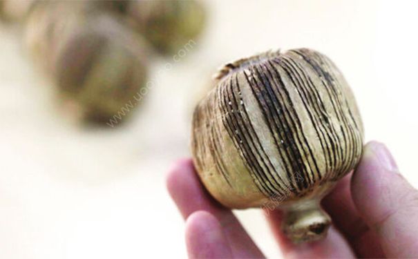罂粟壳有毒吗？罂粟壳的功效与作用[图]