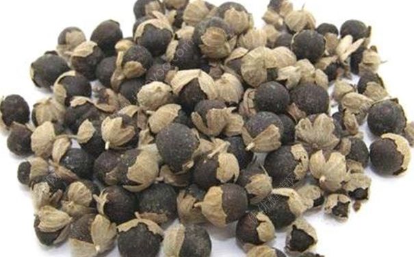 蔓荆子有哪些药用价值？蔓荆子的功效与作用[图]