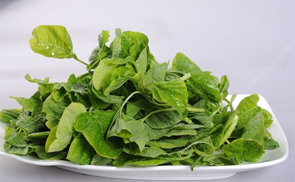 蔊菜有哪些功效作用？蔊菜的功效与作用(1)
