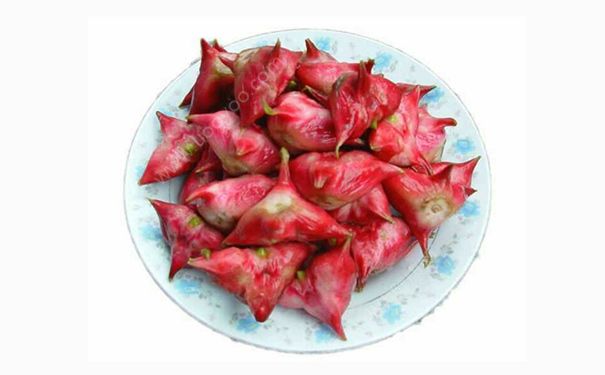 红菱根有什么功效？红菱根的功效与作用(1)