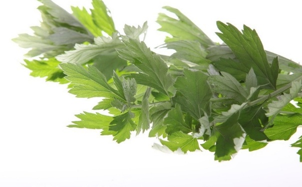 用艾叶生姜水泡脚能缓解痛经吗？艾叶生姜水泡脚有什么作用？(1)