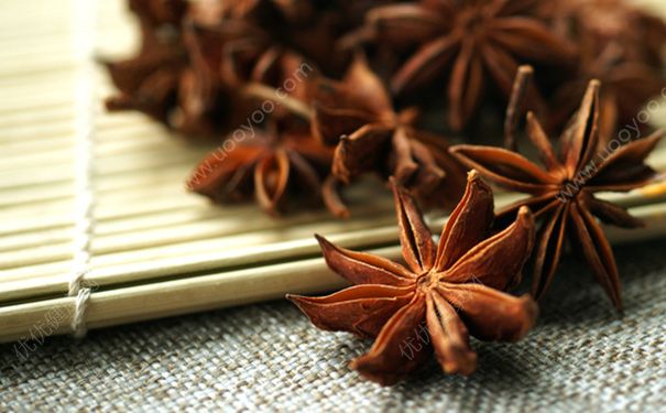 大茴香有什么功效？大茴香的功效与作用[图]