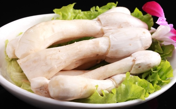 孕妇能不能吃鸡腿菇呢？鸡腿菇的营养价值有哪些？(1)