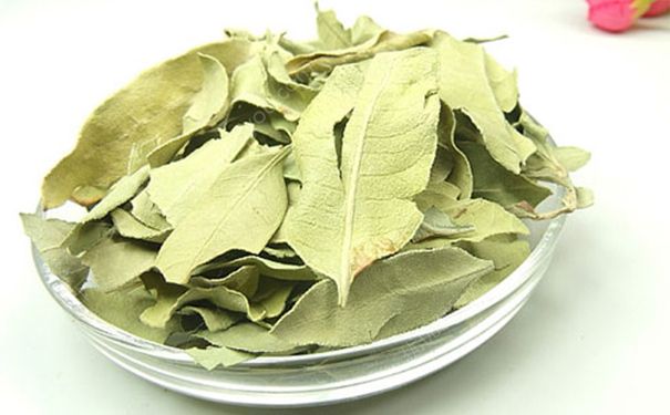罗布麻叶有什么功效？罗布麻叶的药用价值(1)