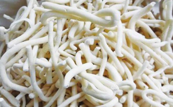 通草有什么功效？通草的功效与作用[图]