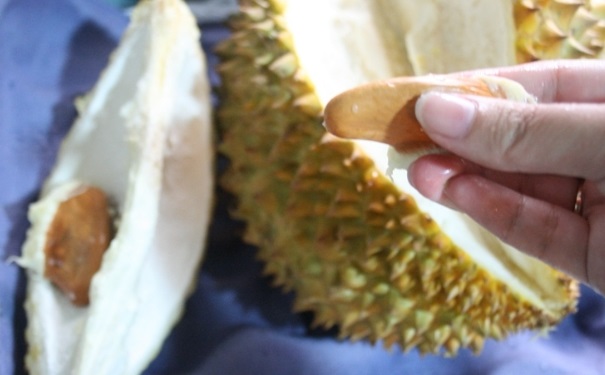 榴莲核能不能吃呢？榴莲核可以怎么吃呢？(1)