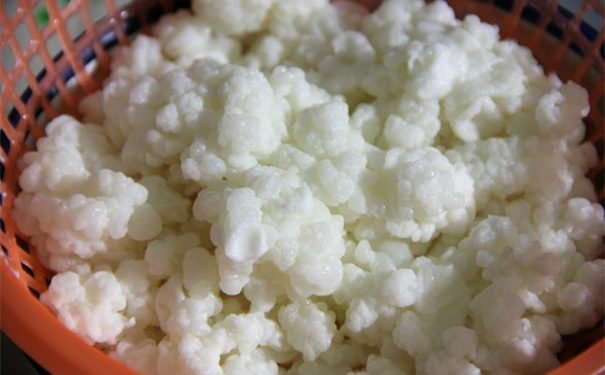 雪莲菌一般怎么保存？雪莲菌泡红糖水的功效有哪些？(1)