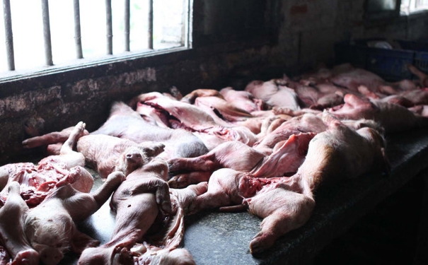 死猪肉辨别方法有哪些？死猪肉怎么辨别？[图]