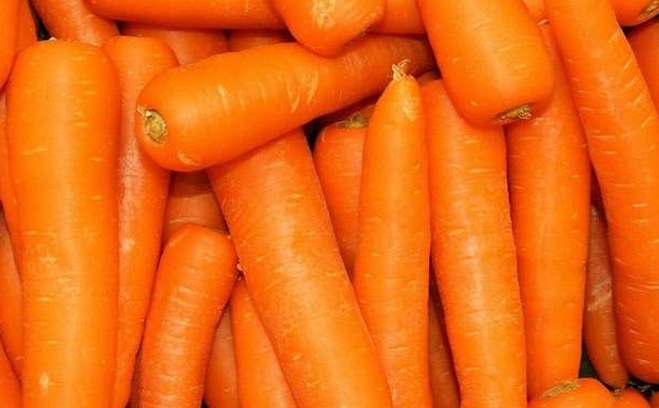 胡萝卜是感光食物吗？胡萝卜是感光蔬菜吗？[图]
