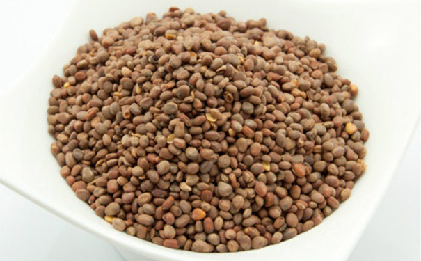 莱菔子有毒吗？莱菔子有什么药用价值？(1)