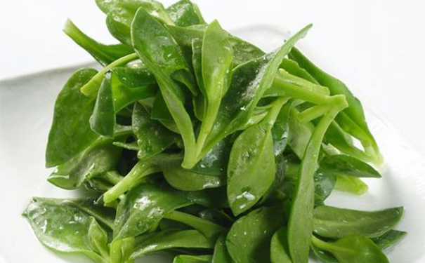 穿心莲有什么作用？穿心莲的药用价值[图]