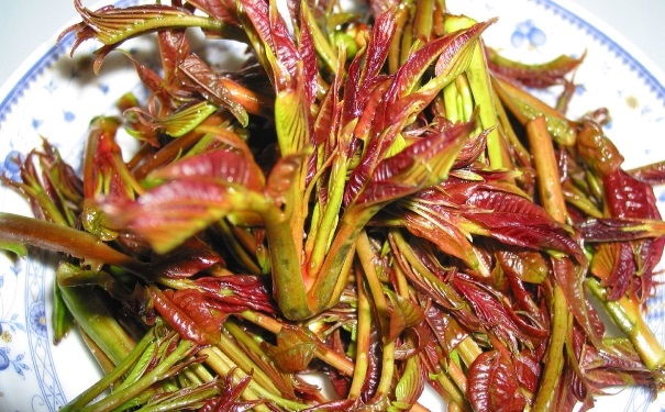 孕妇能吃香椿吗？孕妇吃香椿好吗？(1)