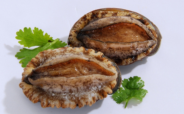 鲍鱼与什么食物相克？哪些人不能吃鲍鱼？[图]