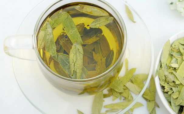 番泻叶有什么功效？番泻叶的药用功效(1)