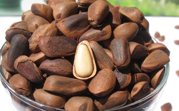 松子和牛奶能一起吃吗？松子可以和牛奶一起吃吗？(1)