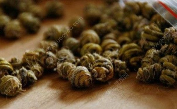 女生适合吃铁皮石斛吗？女生吃铁皮石斛好不好？(2)