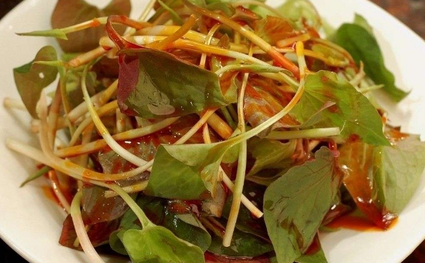 鱼腥草能治痔疮吗？鱼腥草可以治痔疮吗？(1)