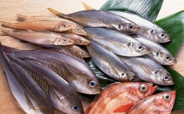 孕妇可以食用海鱼吗？孕妇不能吃哪些海鱼呢？(1)