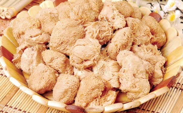 猴头菇怎么吃最营养？猴头菇有什么功效和作用？(1)