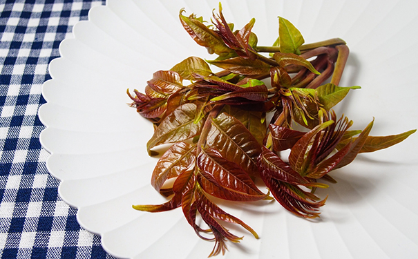 香椿不能和哪些食物一起吃？香椿的饮食禁忌有哪些？(1)