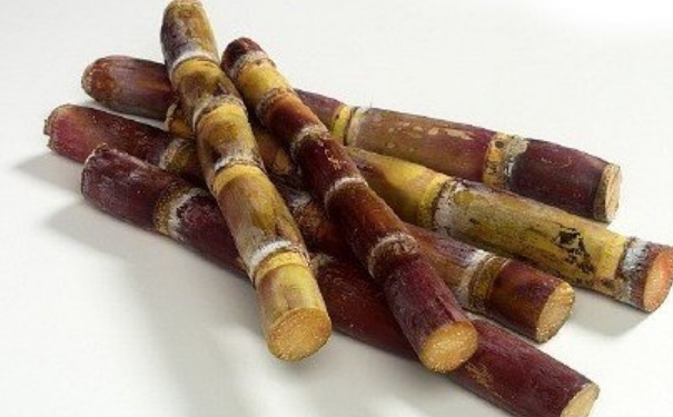 清明甘蔗有毒吗？清明甘蔗毒过蛇？(1)