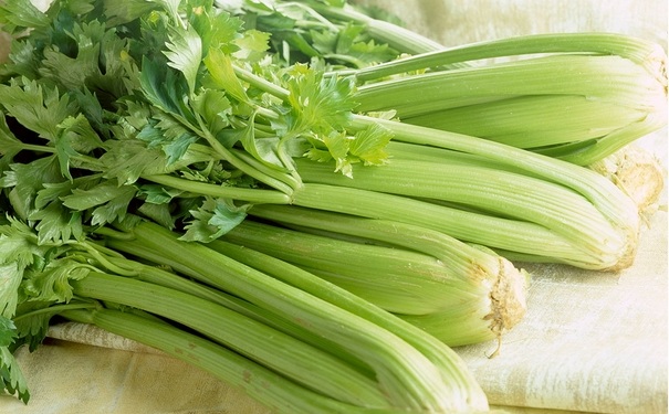 常吃芹菜有哪些好处？芹菜有哪些食疗功效？(1)