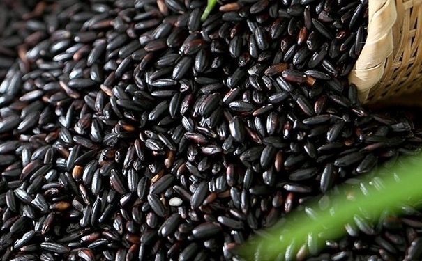 滋补健脾吃什么饭？黑香米椰浆水果饭怎么做？(1)