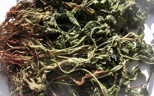 蒲公英能治雀斑吗？有什么治雀斑的方法？(1)