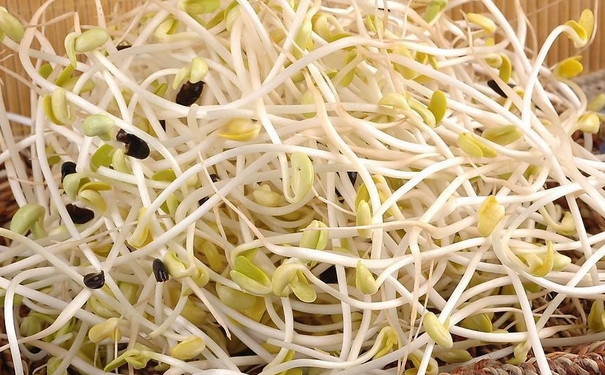 春天吃哪些蔬菜养生？春季哪些食物养生效果好？(1)