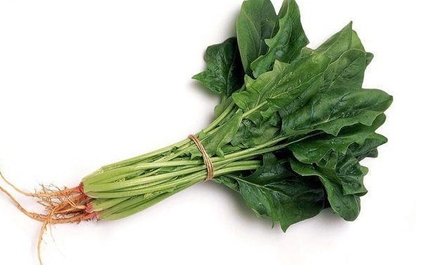 春季吃菠菜好处多？春季吃菠菜有什么禁忌？(1)