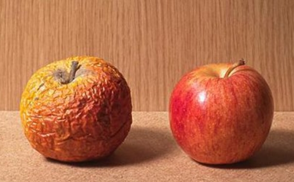 变质的食物会散发什么味道？食物怎么保存最好？(1)