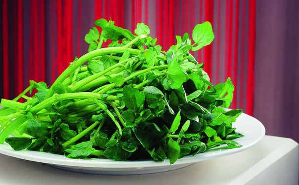 孕妇可以食用西洋菜吗？西洋菜有哪些功效与作用？(1)