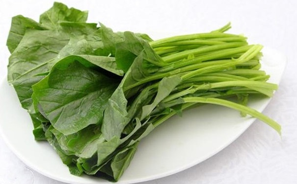 春季养生怎么吃好？春季养生适合吃什么？[图]