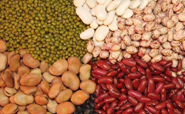 排毒瘦身的食物有哪些？吃什么清肠比较好？(1)