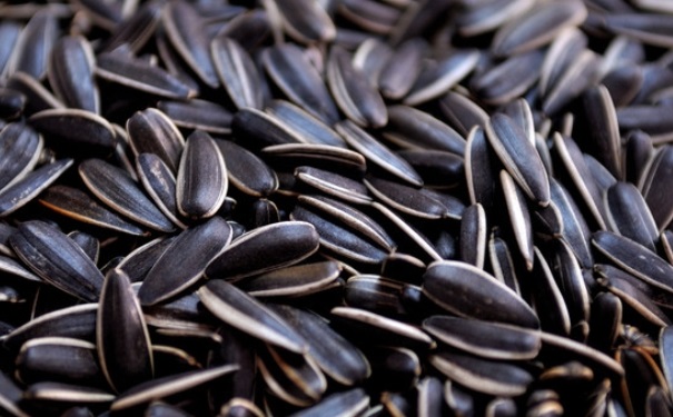 吃葵花籽有哪些好处？吃葵花籽有什么好处与坏处？(1)