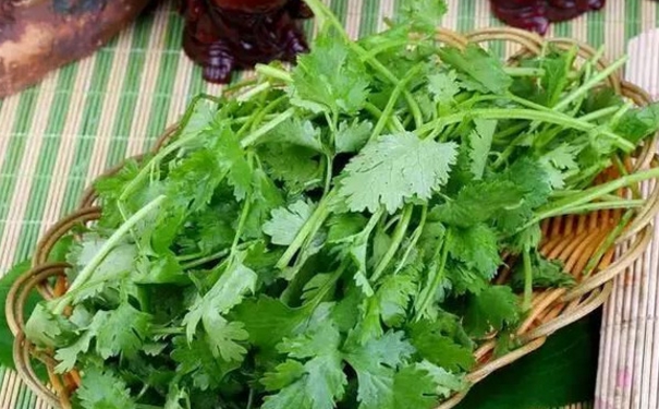 香菜搭配什么好吃？香菜和什么炒好吃？[图]