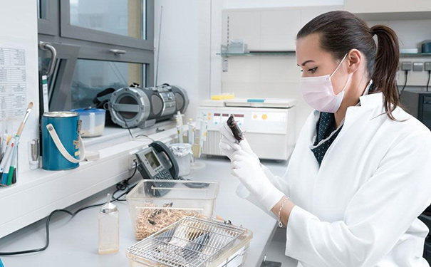 肠梗阻是怎么样发生的？肠梗阻的早期信号有哪些？[图]