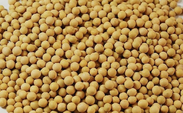 降胆固醇怎么吃？哪些食物有助降胆固醇？[图]