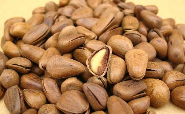 松子和核桃哪个营养价值高？松子和核桃哪个好？[图]