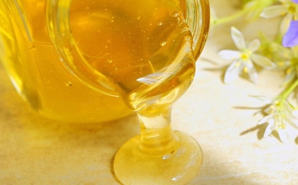 槐花蜜有哪些功效？槐花蜜有什么作用？[图]