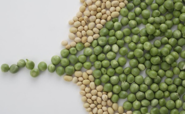 春困提神吃什么？提神该多吃什么食物？[图]