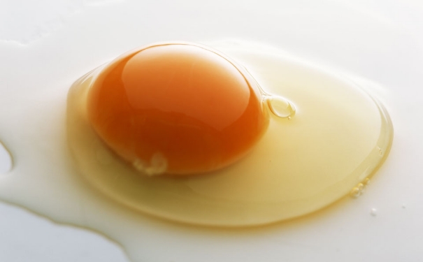 宝宝辅食蛋黄怎么吃？宝宝辅食蛋黄怎么添加？[图]
