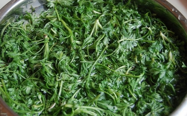 吃荠菜可以回奶吗？荠菜有哪些营养成分？[图]