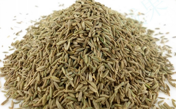 小茴香和孜然的区别有哪些？小茴香是孜然吗？(1)
