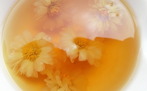 菊花茶隔夜还可以喝吗？隔夜的菊花茶有什么妙用？[图]
